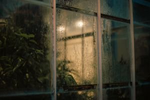 Fenêtre recouverte de buée et de gouttes de condensation