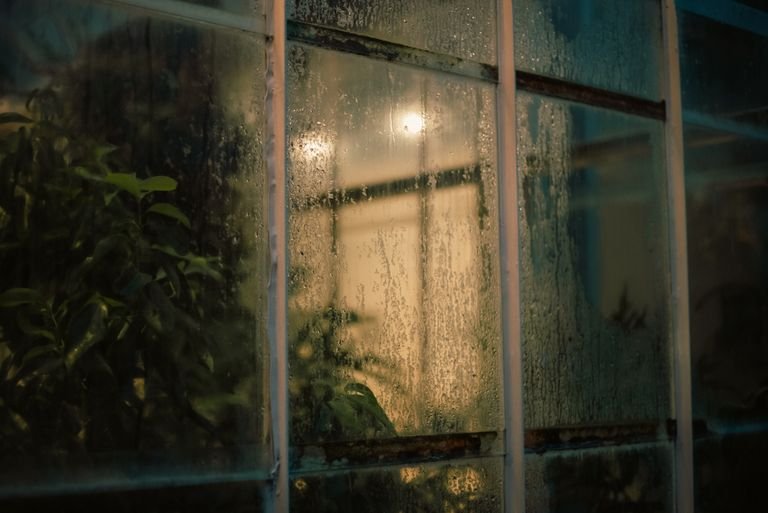 Fenêtre recouverte de buée et de gouttes de condensation