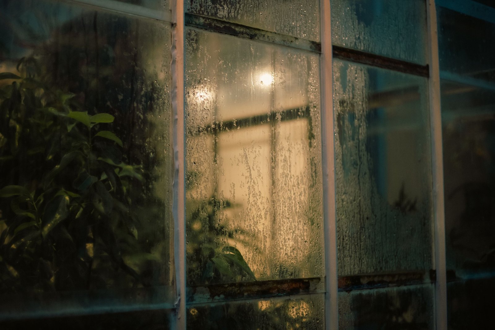 Fenêtre recouverte de buée et de gouttes de condensation